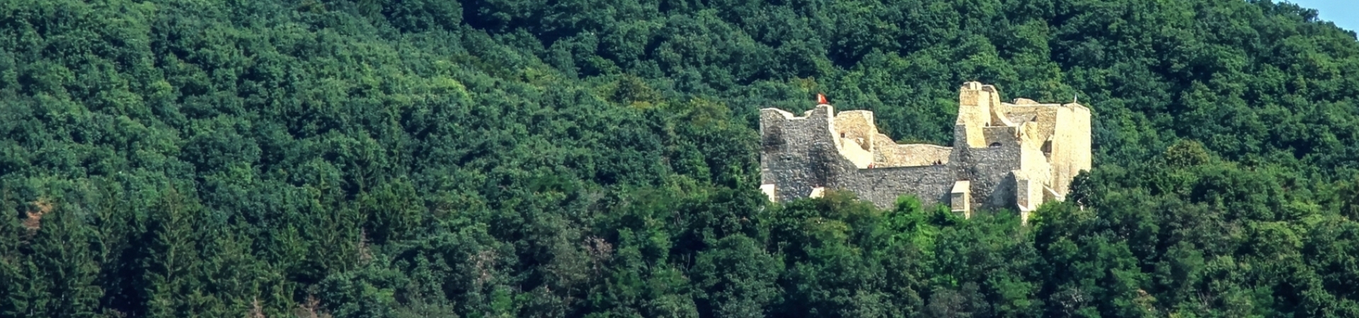 Tururi in Iasi, Bucovina si Republica Moldova